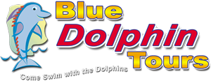Blue Dolphin Tours