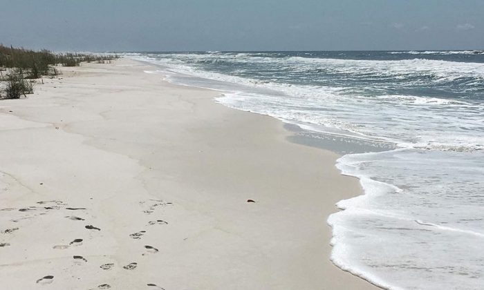 A photo showing the beauty of Shell Island in Panama City, Florida.