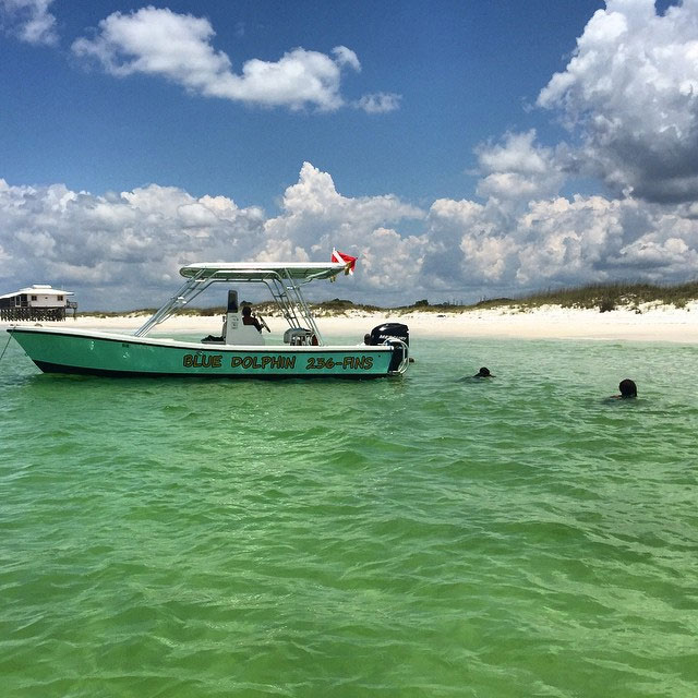 Looking for wildlife at Shell Island near St Andrews State Park in NW Florida